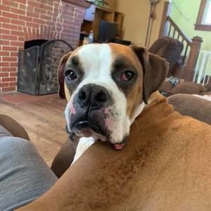 Meet your Posher, Marlene